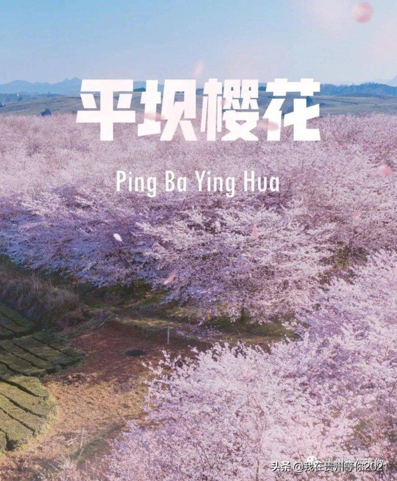 玩具坦克对战