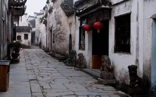 沈阳市苏家屯区：以学促干推动主题教育见行见效